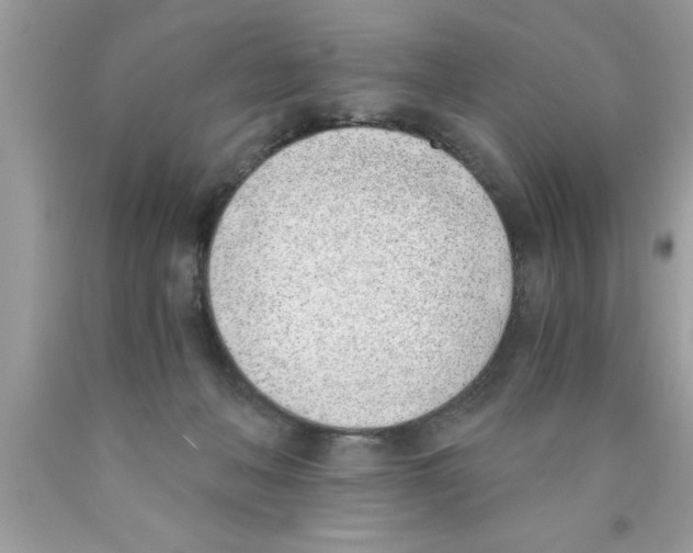 X0000089850222200707262114