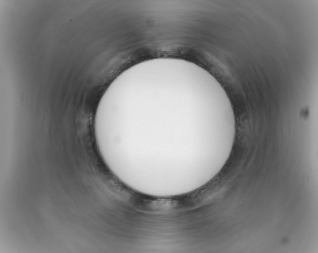 X0000089850225200707262114