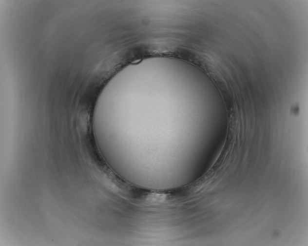 X0000089850227200707262114