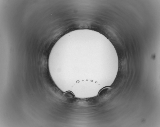 X0000089850228200707262114