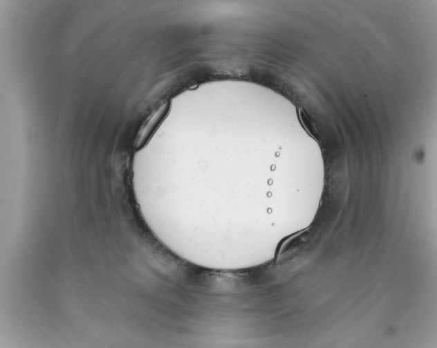 X0000089850229200707262114