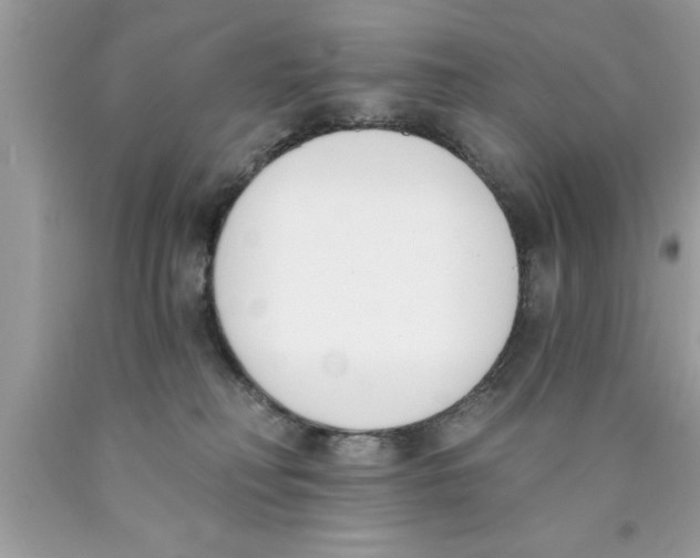 X0000089850230200707262114