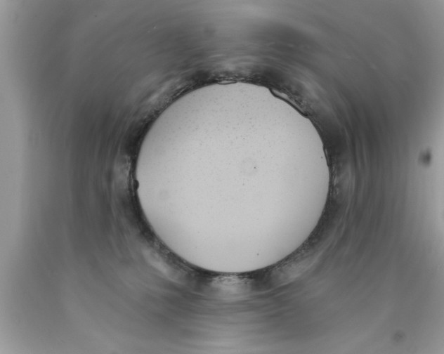 X0000089850231200707262114