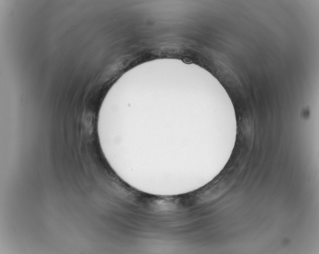 X0000089850232200707262114