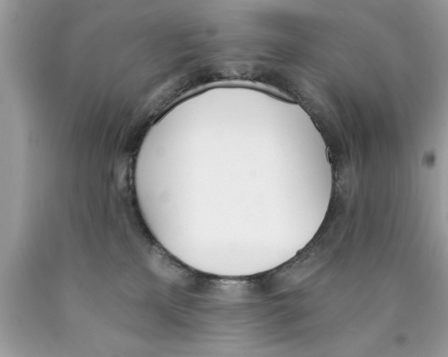 X0000089850233200707262114