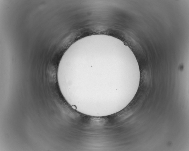 X0000089850234200707262114