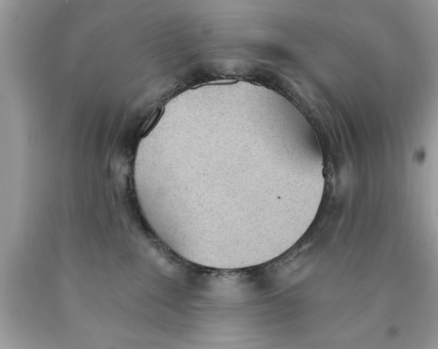 X0000089850235200707262114