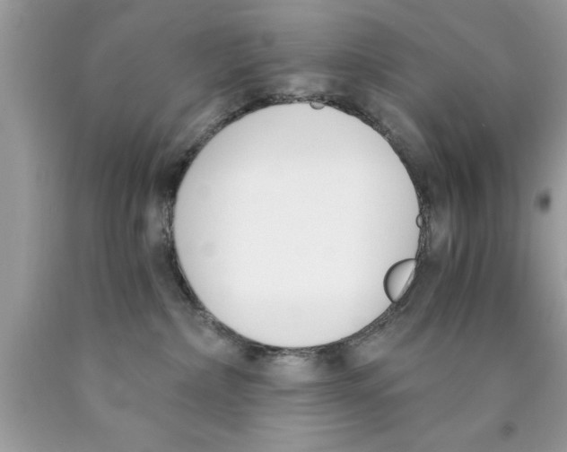 X0000089850236200707262114