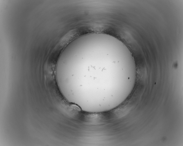 X0000089850237200707262114