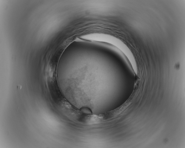 X0000089850239200707262114