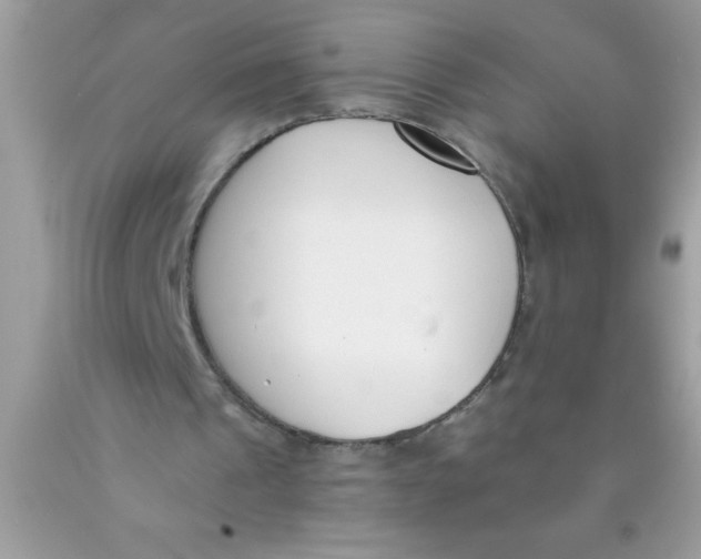 X0000089850241200707262113