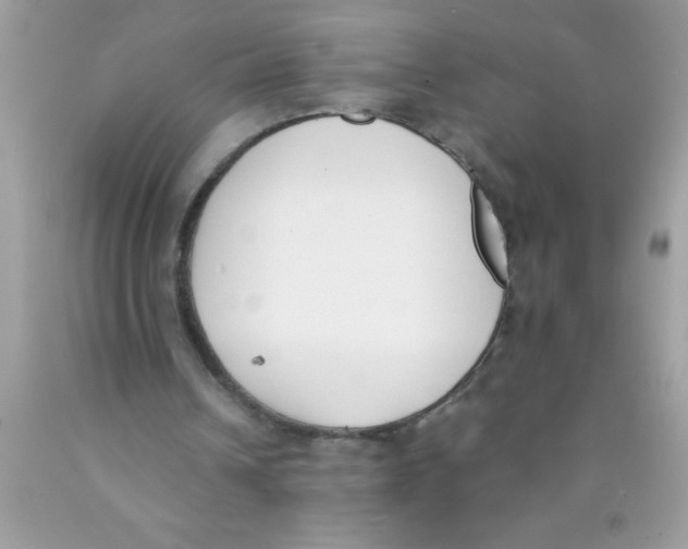 X0000089850242200707262113