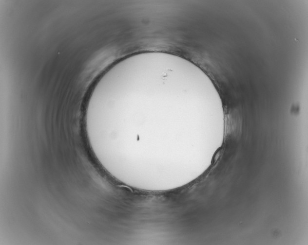 X0000089850243200707262113