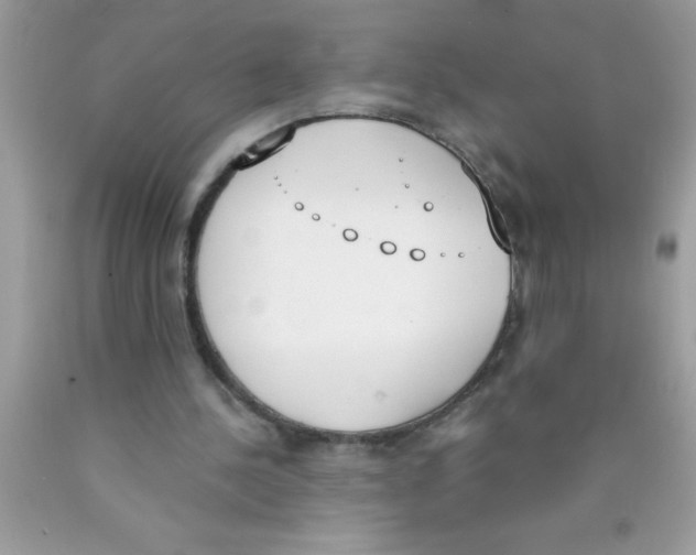 X0000089850244200707262113