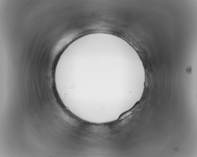 X0000089850245200707262113