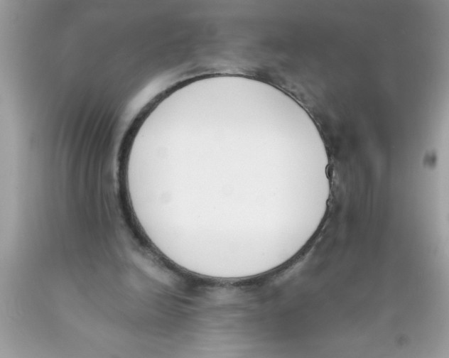 X0000089850246200707262113