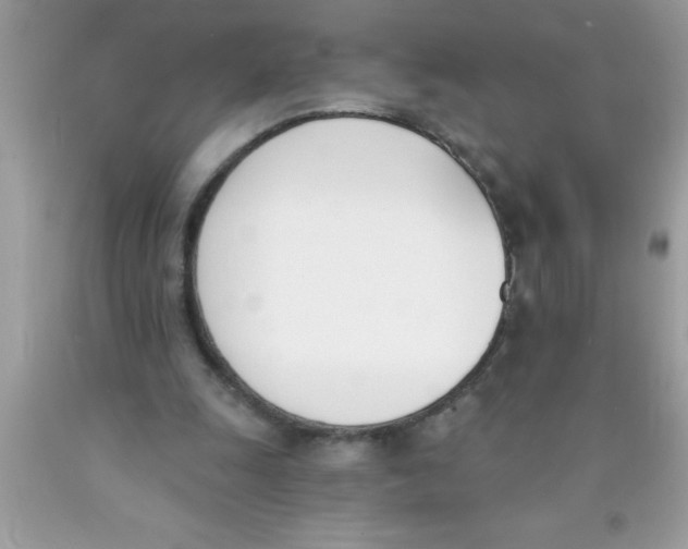 X0000089850247200707262113