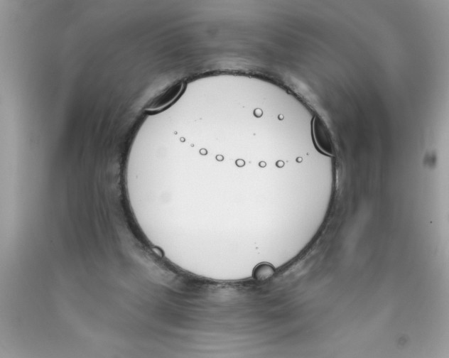 X0000089850249200707262113