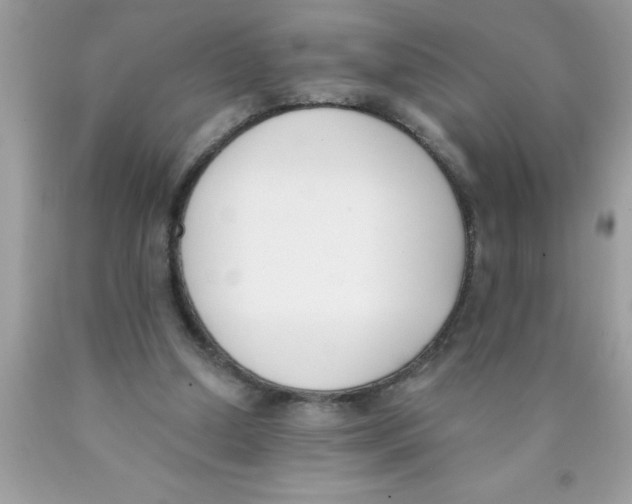 X0000089850250200707262113