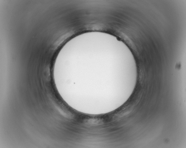 X0000089850251200707262113