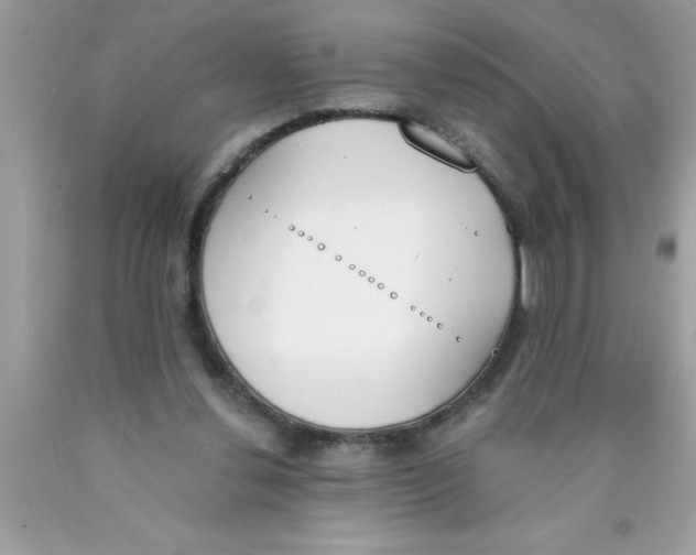 X0000089850252200707262113