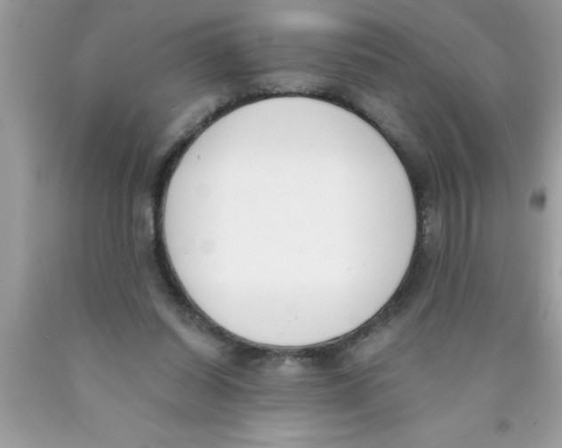 X0000089850254200707262113