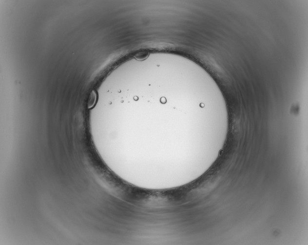 X0000089850256200707262113