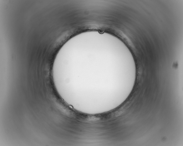 X0000089850257200707262113