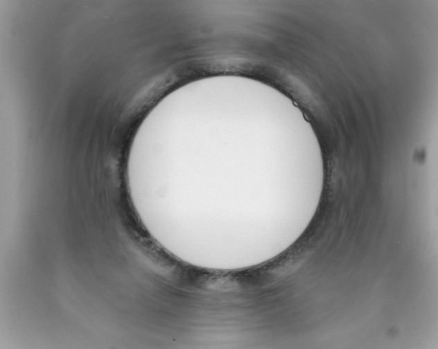 X0000089850258200707262113