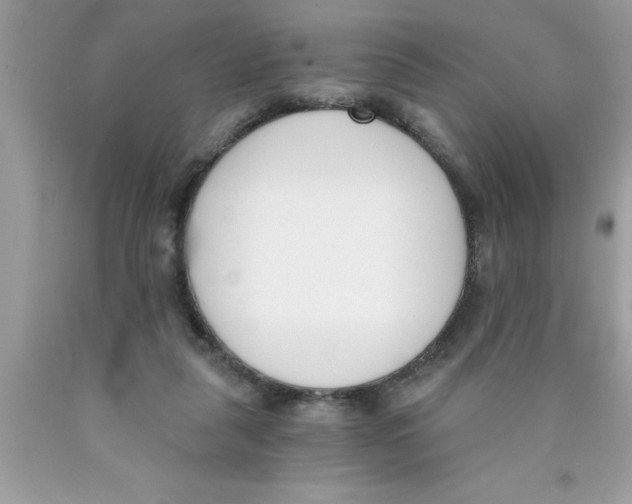 X0000089850259200707262113