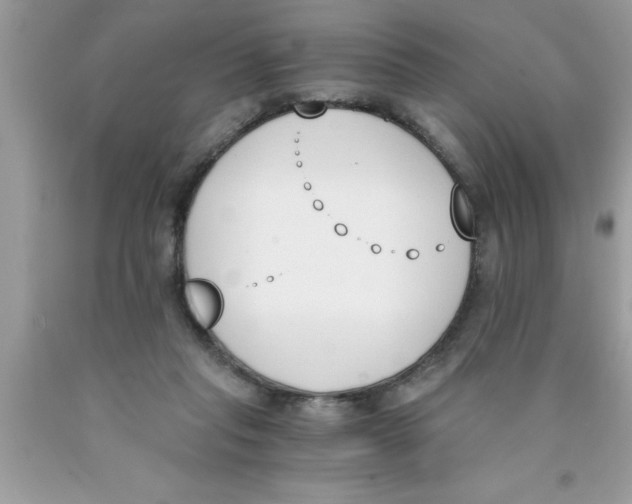 X0000089850261200707262113