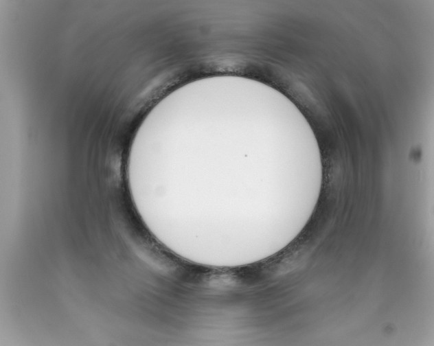 X0000089850262200707262113