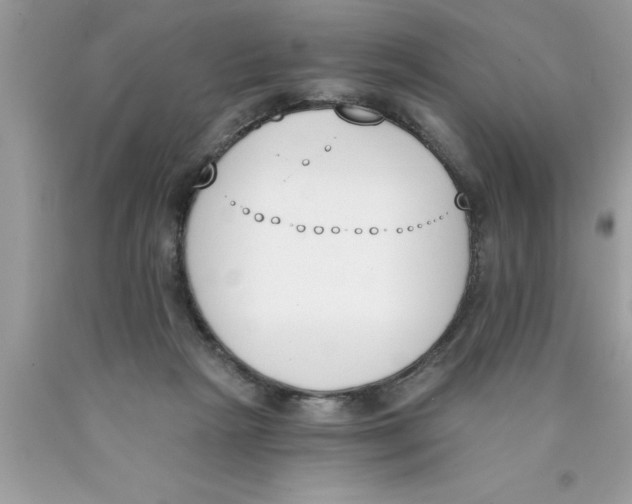 X0000089850265200707262114