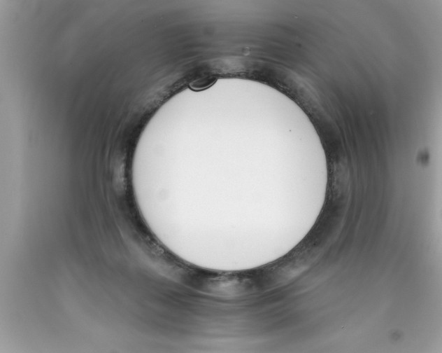 X0000089850267200707262114