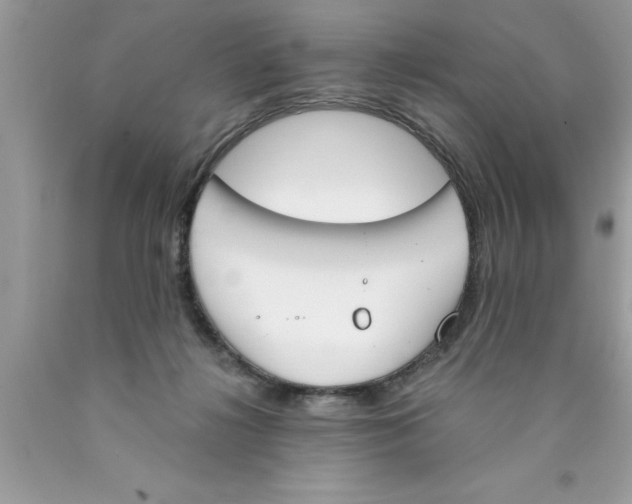 X0000089850268200707262114