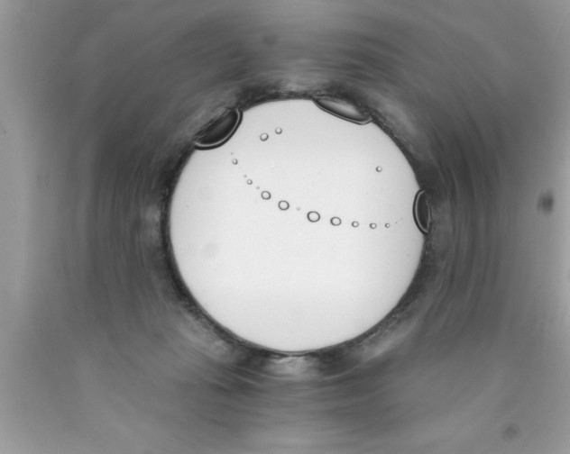 X0000089850269200707262114