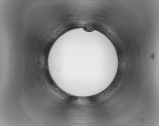 X0000089850270200707262114