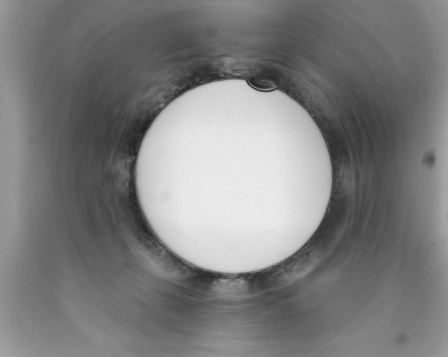 X0000089850271200707262114