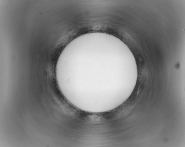 X0000089850272200707262114