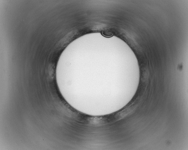 X0000089850273200707262114