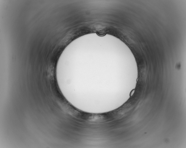 X0000089850274200707262114