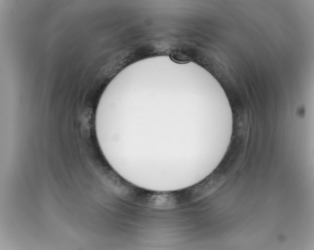 X0000089850275200707262114