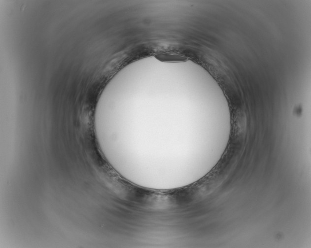 X0000089850276200707262114