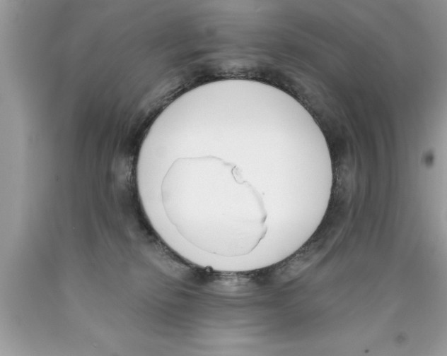 X0000089850278200707262114