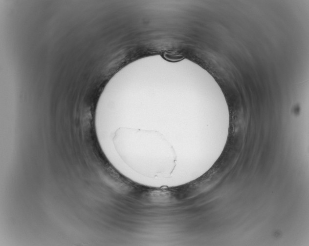 X0000089850279200707262114