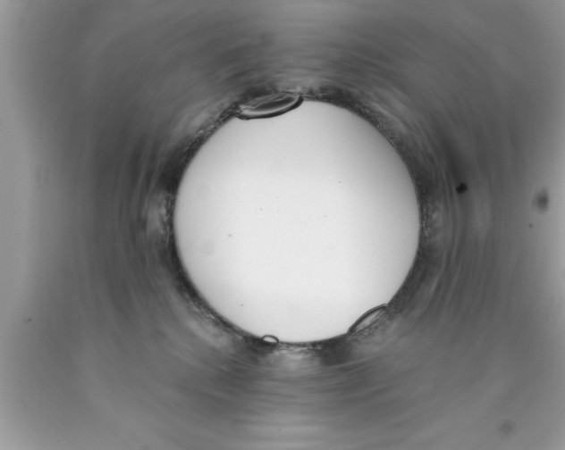 X0000089850280200707262114