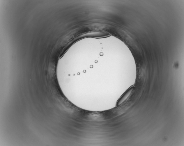 X0000089850283200707262114