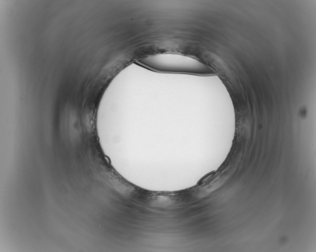 X0000089850285200707262114