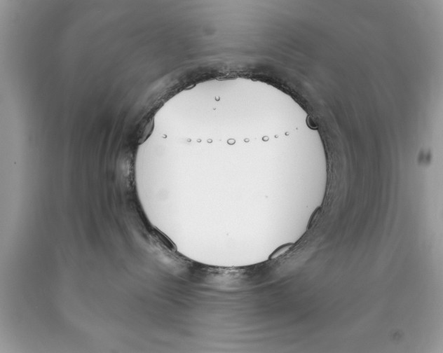 X0000089850288200707262114