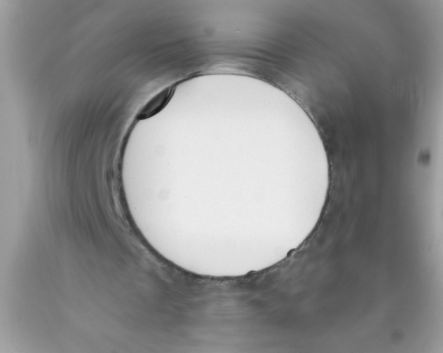 X0000089850289200707262113